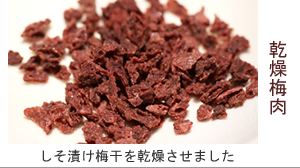 ▲紀州南高梅干通販専門店のしそ漬け梅を乾燥させただけの乾燥梅肉